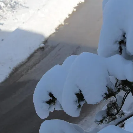 Tipico Vista Dolomiti شقة